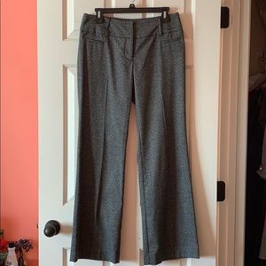 APT. 9 | Dress pants curvy fit